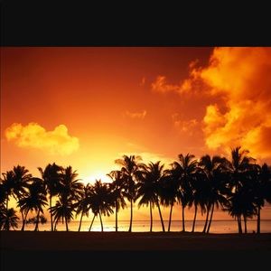 Meet your Posher, Brayden